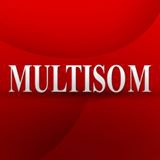 multisom.com.br